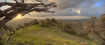Borana Lodge Borana Lodge: Zusammenkunft bei Sonnenuntergang