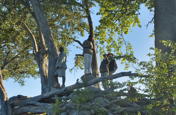 Camp Hwange: Guide mit Gästen