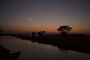 Tusk and Mane Safaris Tusk and Mane Safaris: Halbmond