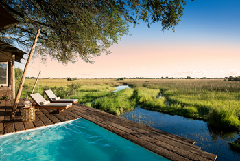 Duba Plains Suite: Private Plunge Pool