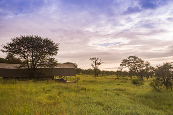 Dunia Camp: Areal der Gästezelte
