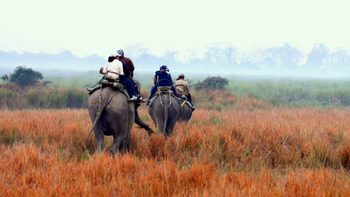 Infinity Resort Kaziranga: Ausritt auf Elefanten