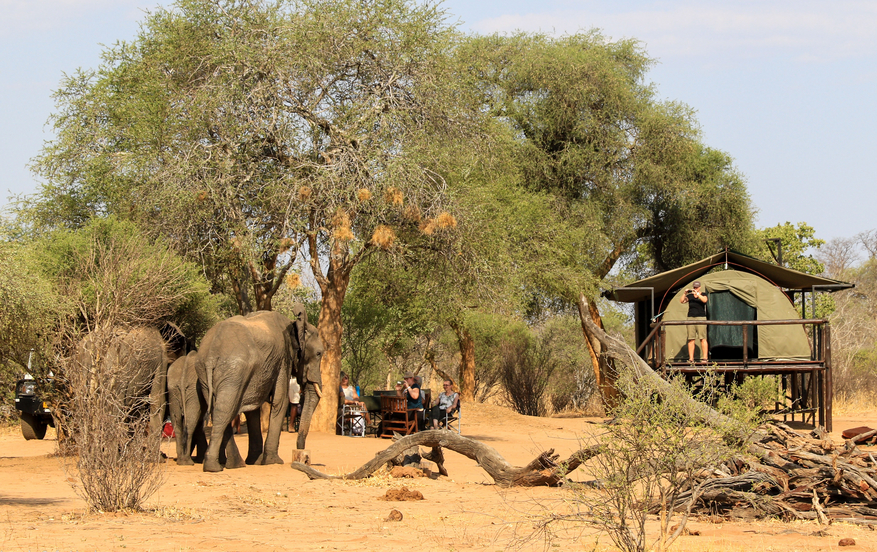 Jozibanini Camp