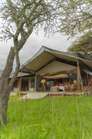 Kandili Camp: Family Tent