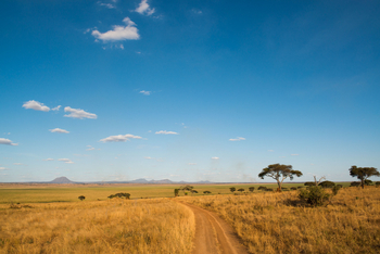 Kuro Tarangire Camp: Landschaft am Rand der Sümpfe