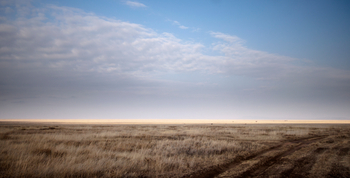 Namiri Plains Camp: Weite Savanne