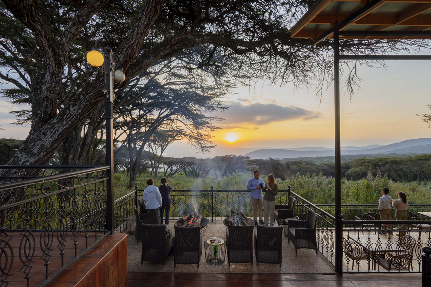 Ngorongoro Lion's Paw Ngorongoro Lion's Paw