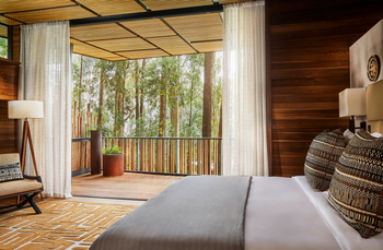 One and Only Gorilla's Nest: Forest King Bedroom