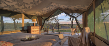 Richard's River Camp: Luxury Tent