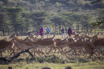 Richard's River Camp: Walking Safari
