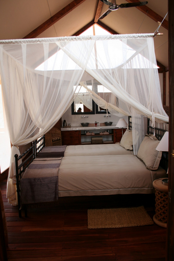 Sanctuary Okahirongo River Camp Sanctuary Okahirongo River Camp: No Title