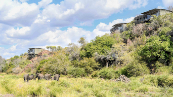 Singita Lebombo Lodge: Elefantenherde vor grünen Hügeln am Morgen