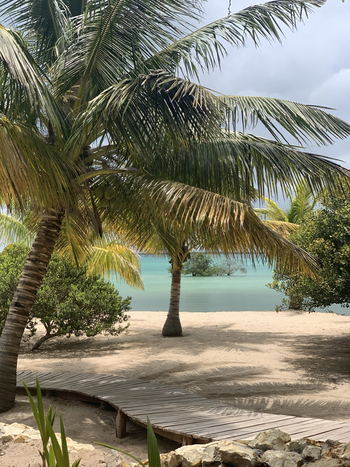 Sussurro: Nach dem Regen