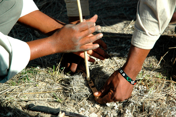 Tau Pan Camp Tau Pan Camp: Feuerstock