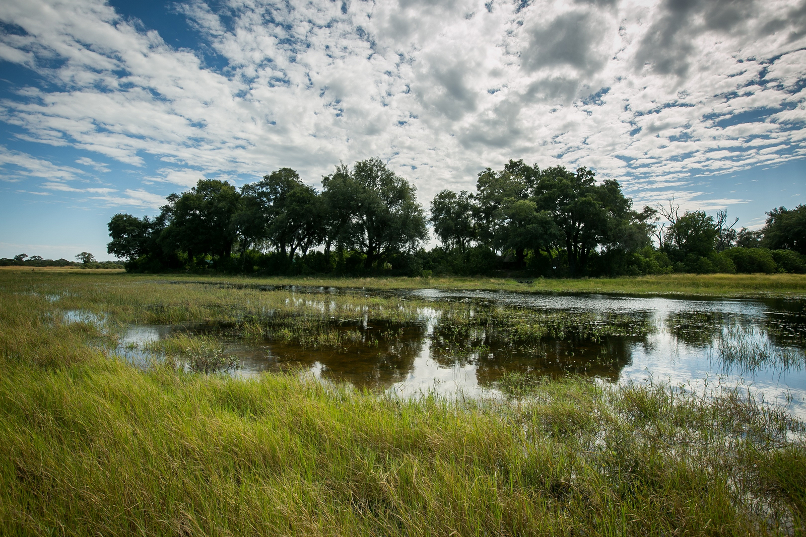 Bushman Plains Camp Bushman Plains Camp: Flut im Gebiet des Camps