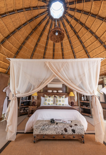 Camp Kipwe: Kipwe Suite