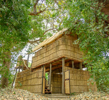 Chikoko Tree Camp: Treehouse - Eingang