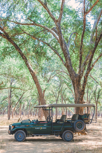 Classic Zambia Safaris Classic Zambia Safaris: Game Drive