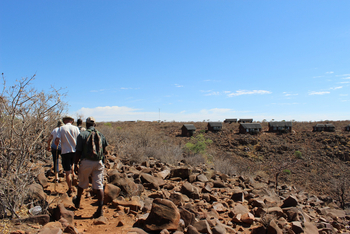 Grootberg Lodge: Rhino Tracking und Moringa Walk