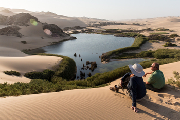 Hoanib Skeleton Coast Camp: Blick auf die Hoanib-Wüstenoase