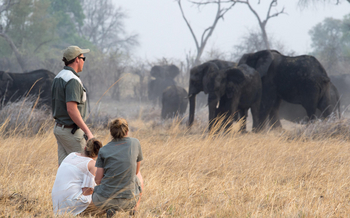 Kazile Island Lodge: Walking Safari