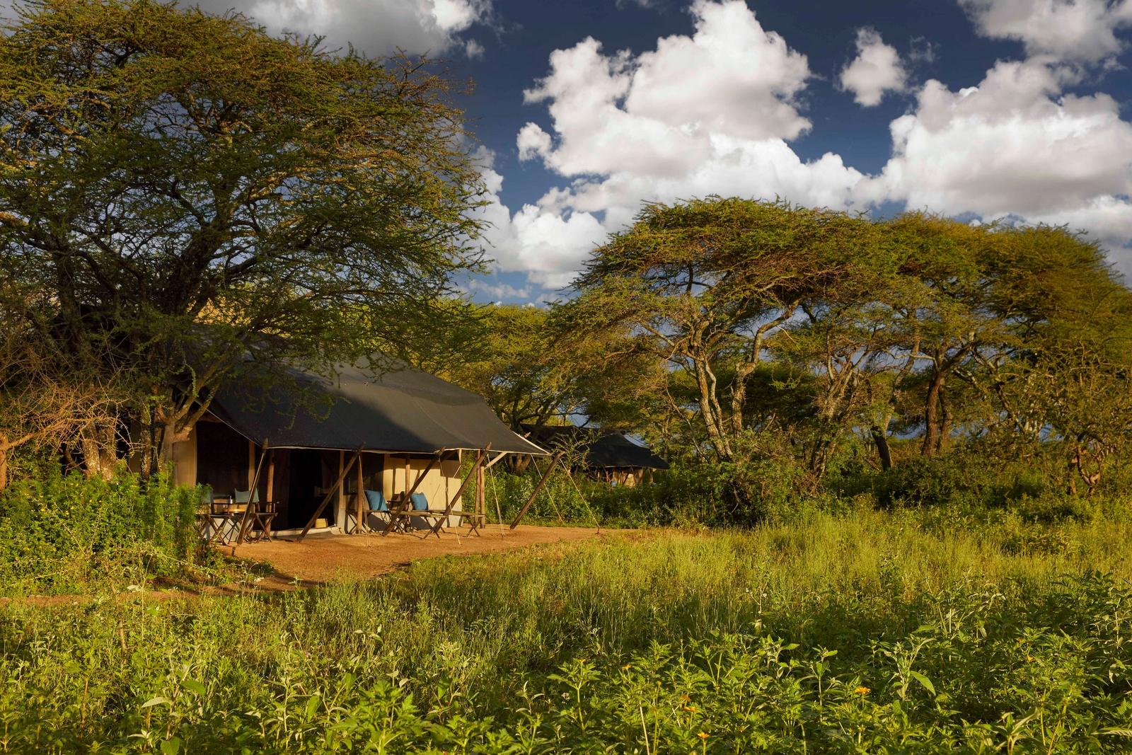 Legendary Songa Migrational Camp Legendary Songa Migrational Camp: Gästezelt von außen