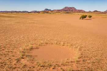 Mowani Mountain Camp: Großer Feenkreis