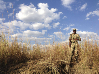 Ntemwa Busanga Bushcamp Ntemwa Busanga Bushcamp: National Park Ranger
