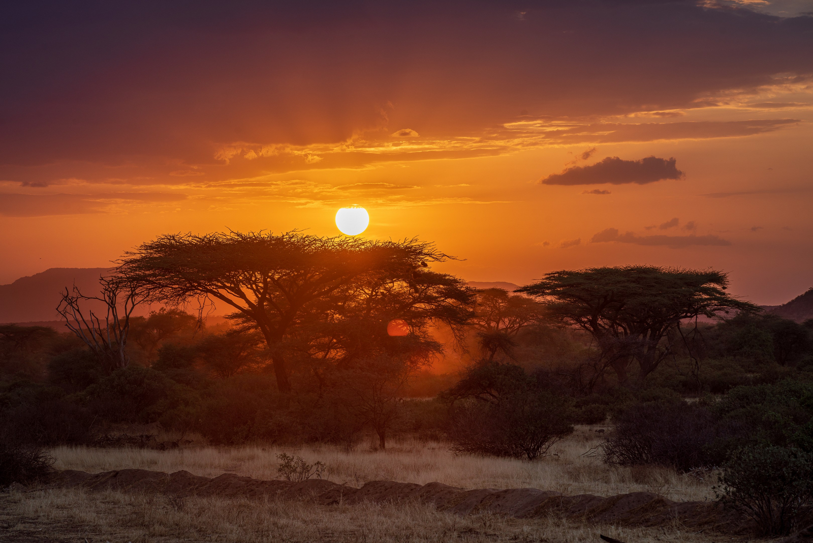 Soroi Larsens Tented Camp Soroi Larsens Tented Camp: Sonnenuntergang