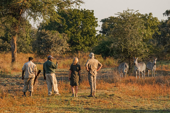 Chikunto Safari Lodge Chikunto Safari Lodge: Walking Safari