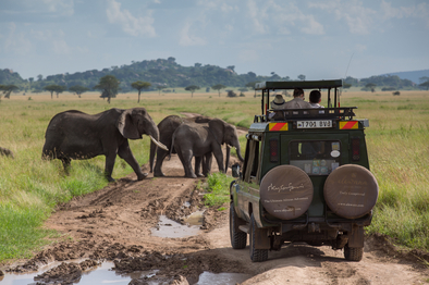 Elewana Serengeti Pioneer Camp: Game Drive