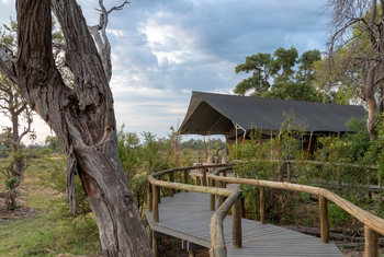 Gomoti Private Camp Gomoti Private Camp: Steg