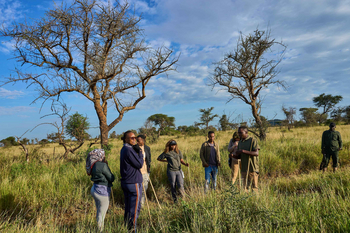 Ikoma Tented Camp: Gäste auf geführtem Morgenspaziergang im Busch