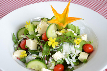 Kalahari Farmhouse: Salat