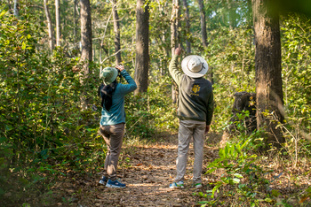 Kanha Jungle Lodge: Nature Walk