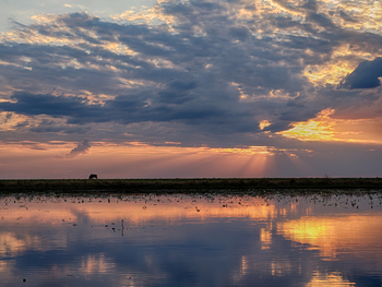 King Lewanika Lodge: Sonnenstrahlen brechen durch die Wolken
