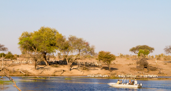 Leroo La Tau Lodge: Motorbootexkursion