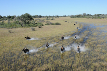 Macatoo Camp: Flood Plain