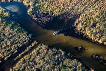 Mogogelo Camp Mogogelo Camp: Elefanten im tiefen Wasser