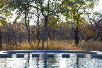 Mushara Bush Camp: Lodge und Garten