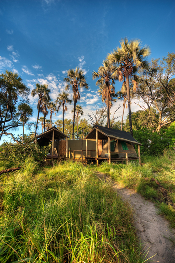 Oddballs' Camp: Familieneinheit