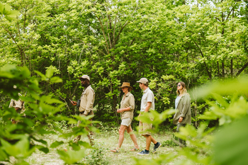 Rufiji River Camp: Gäste auf einer Naturwanderung