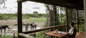 Savute Safari Lodge: Standard Room - Blick auf Elefanten