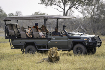 Savuti Camp Savuti Camp: Löwenbeobachtung