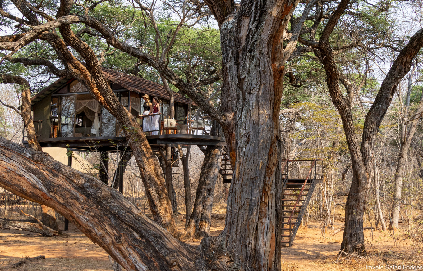 Tum Tum Treehouse Lodge Tum Tum Treehouse Lodge: Treehouse