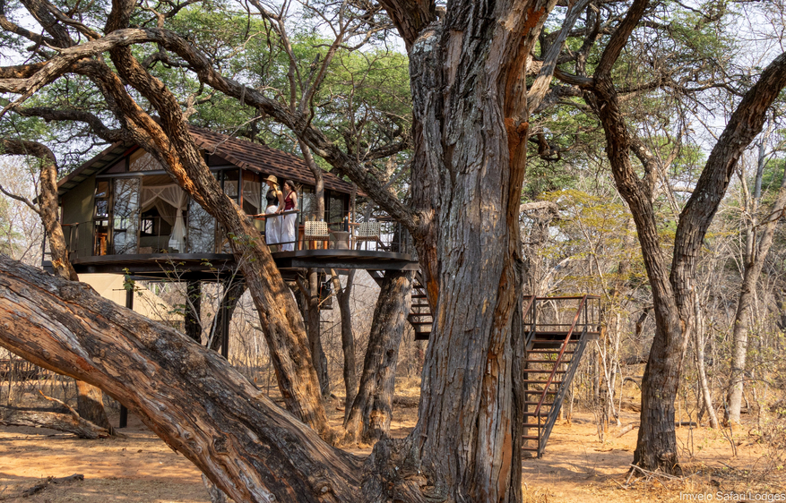 Tum Tum Treehouse Lodge Tum Tum Treehouse Lodge