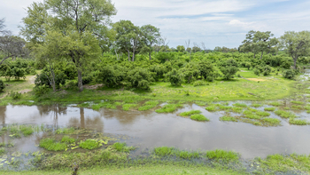 Tumani Tented Camp: Rainy Season