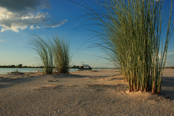Zambezi Mubala Lodge: Sandbank
