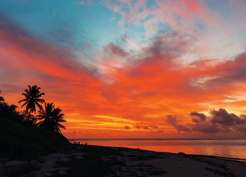 Alphonse Island Lodge: Palmsilhouetten