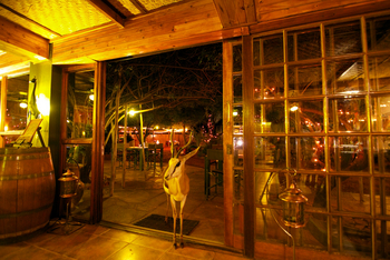 Bagatelle Kalahari Game Ranch: Springbock auf dem Weg in die Lounge